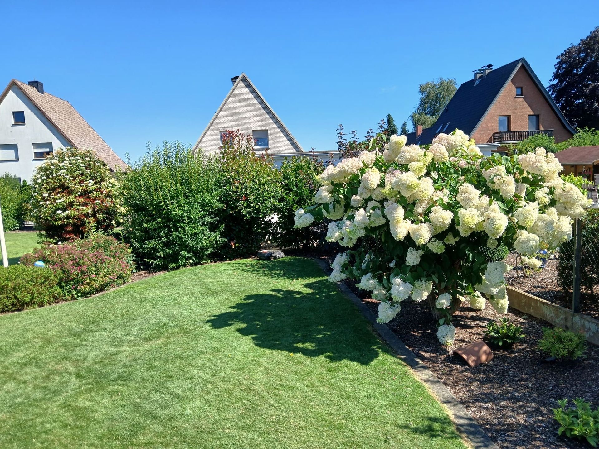 Gut gepflegtes Beet in voller Blütenpracht